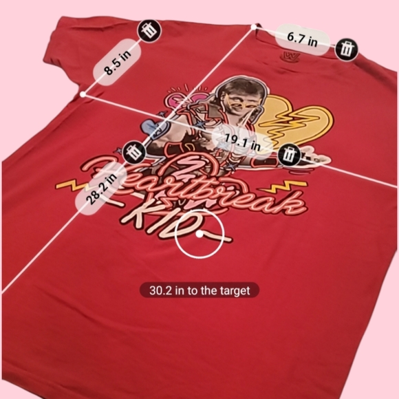 WWE Officially Licensed Shawn Michaels HBK Heartbreak Kid T-Shirt (L) - Picture 7 of 7
